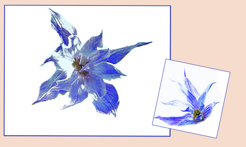 f:id:mio20100501:20140502205711j:image:w640 f:id:mio20100501:20140502205711j:image:w640
