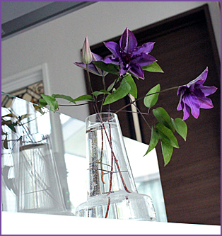 f:id:mio20100501:20140521155548j:image:w360:left f:id:mio20100501:20140521155548j:image:w360:left