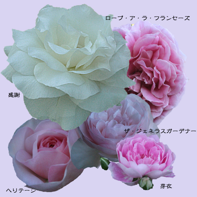 f:id:mio20100501:20140602120314j:image:w360 f:id:mio20100501:20140602120314j:image:w360