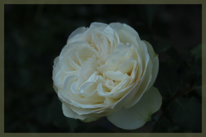 f:id:mio20100501:20140604172851j:image:w360:right