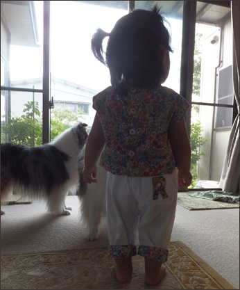 f:id:mio20100501:20140831112306j:image:w360:left f:id:mio20100501:20140831112306j:image:w360:left