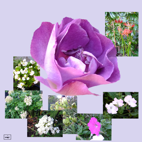 f:id:mio20100501:20140920083209j:image f:id:mio20100501:20140920083209j:image