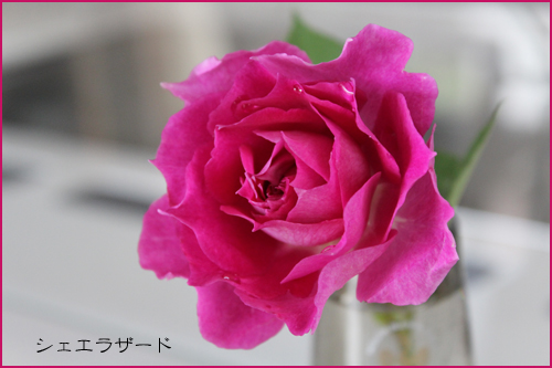 f:id:mio20100501:20141015100103j:image