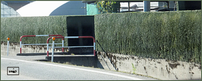 f:id:mio20100501:20141030195601j:image:w360:left f:id:mio20100501:20141030195601j:image:w360:left
