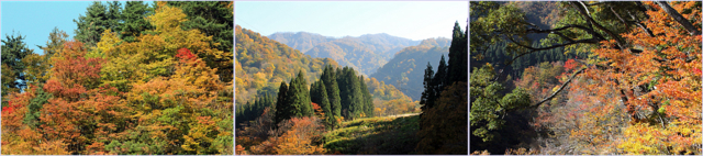 f:id:mio20100501:20141030195603j:image f:id:mio20100501:20141030195603j:image