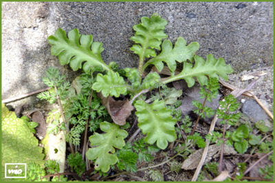 f:id:mio20100501:20150316120942j:image:w360:left