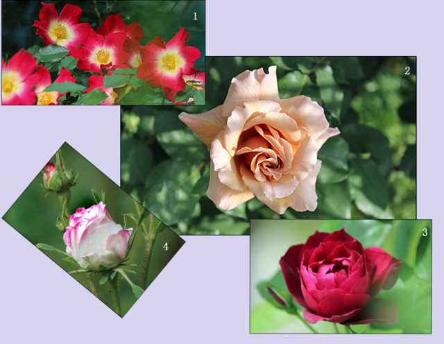f:id:mio20100501:20150518124239j:image:left