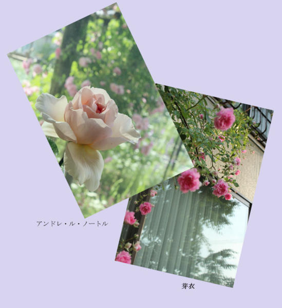 f:id:mio20100501:20150529083616j:image