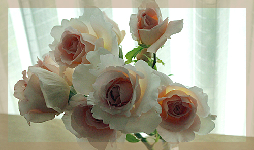 f:id:mio20100501:20150601091357j:image:right f:id:mio20100501:20150601091357j:image:right