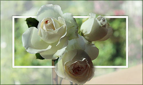 f:id:mio20100501:20150601091937j:image:right f:id:mio20100501:20150601091937j:image:right