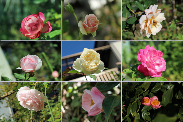 f:id:mio20100501:20151016195846j:image:w640 f:id:mio20100501:20151016195846j:image:w640