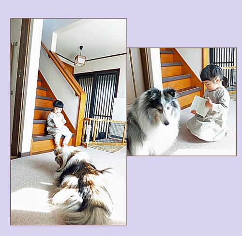 f:id:mio20100501:20160327112331j:image:w360:left