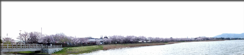 f:id:mio20100501:20160408194721j:image