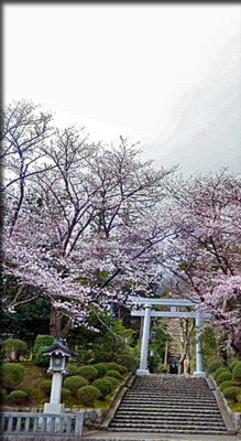 f:id:mio20100501:20160408194724j:image:left