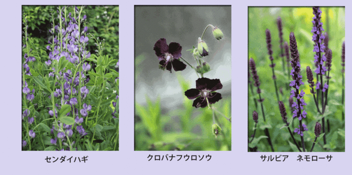 f:id:mio20100501:20180516173523g:image