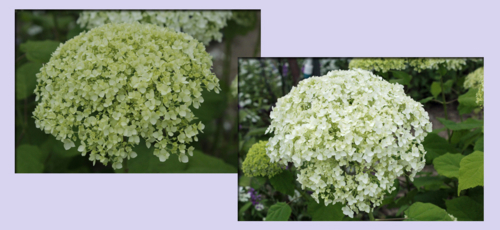 f:id:mio20100501:20180616041558j:image:left f:id:mio20100501:20180616041558j:image:left