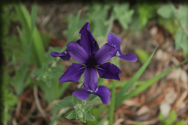 f:id:mio20100501:20200512143405g:plain f:id:mio20100501:20200512143405g:plain