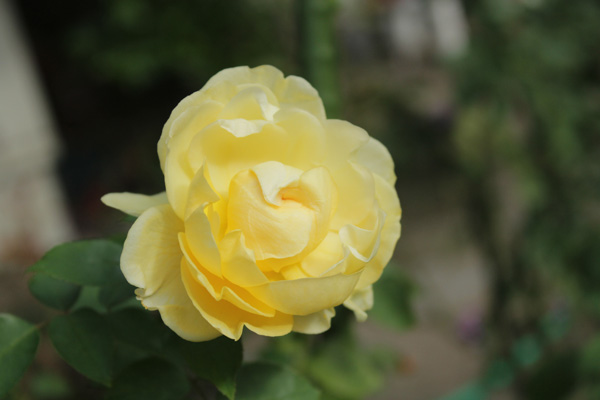 f:id:mio20100501:20201012095321j:plain f:id:mio20100501:20201012095321j:plain