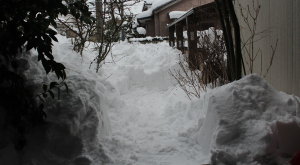 f:id:mio20100501:20210112202209j:plain