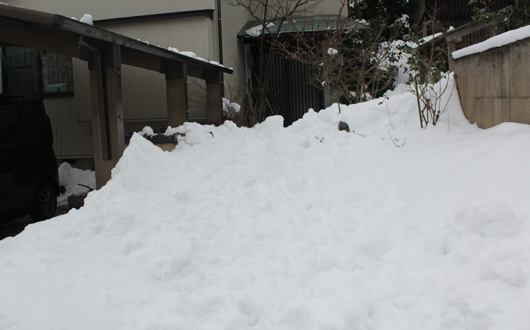 f:id:mio20100501:20210112202224j:plain
