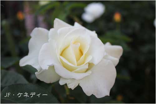 f:id:mio20100501:20211212175625j:plain