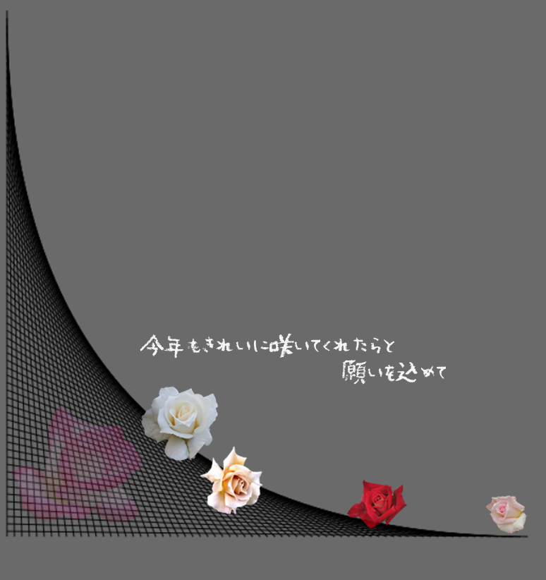 f:id:mio20100501:20220101161654p:plain