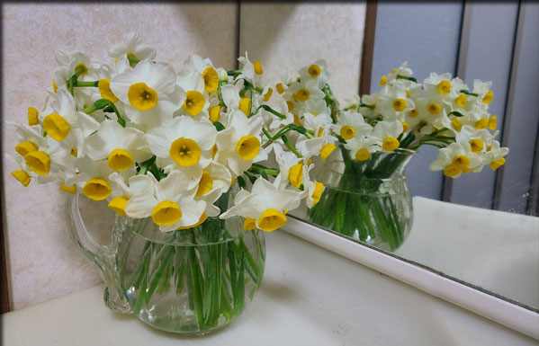 f:id:mio20100501:20220323124246j:plain