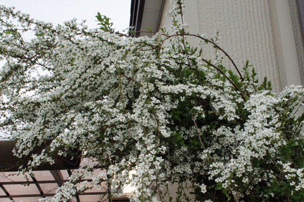 f:id:mio20100501:20220410163529p:plain