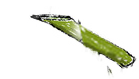 カエル