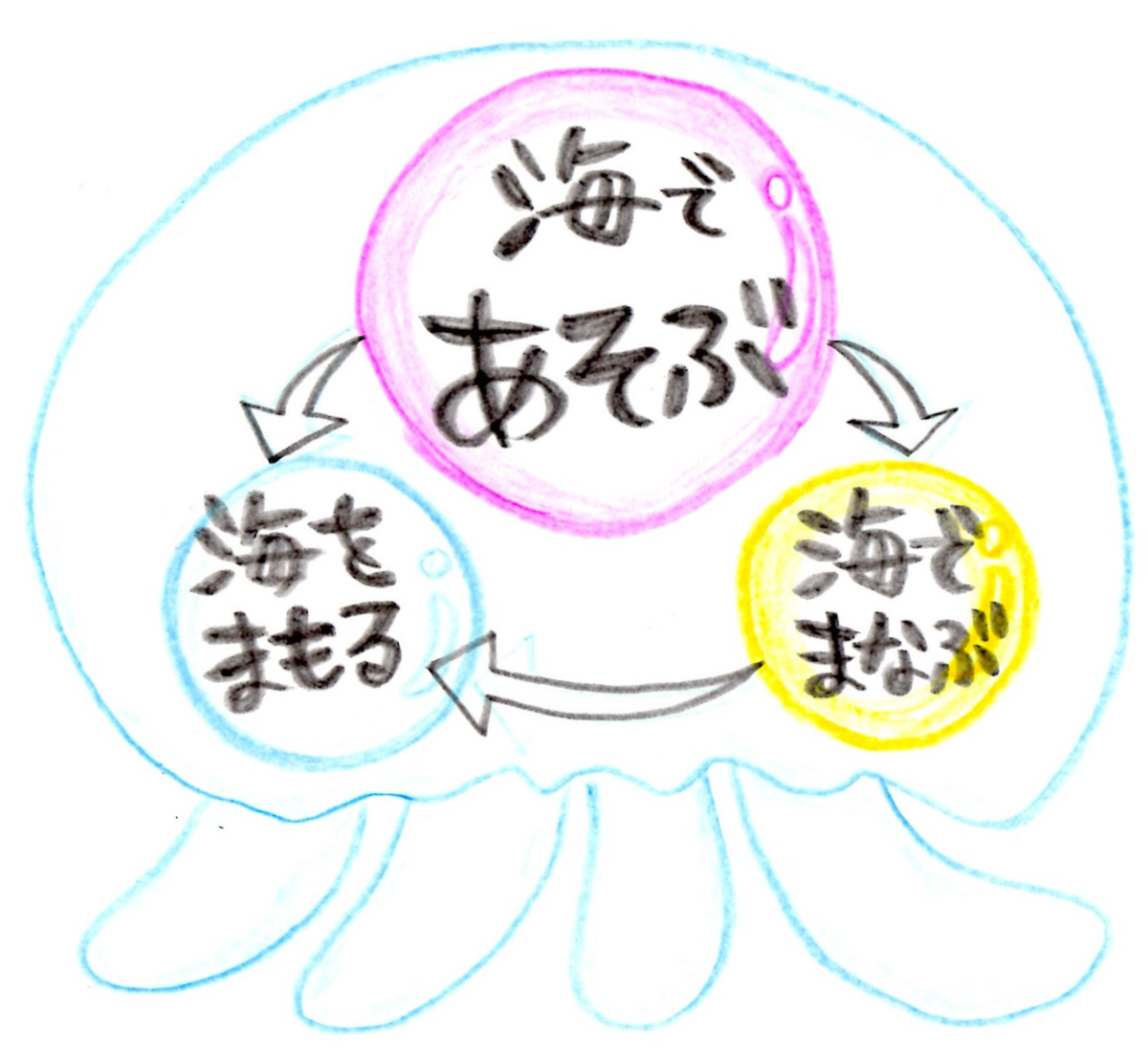 くらげれんごう　海であそぶ、海でまなぶ、海をまもる