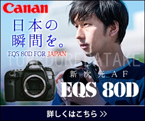 f:id:mio_U_M:20170207010049j:plain f:id:mio_U_M:20170207010049j:plain