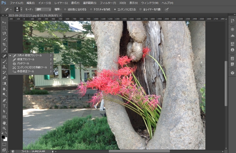 f:id:mio_U_M:20170219013045j:plain f:id:mio_U_M:20170219013045j:plain