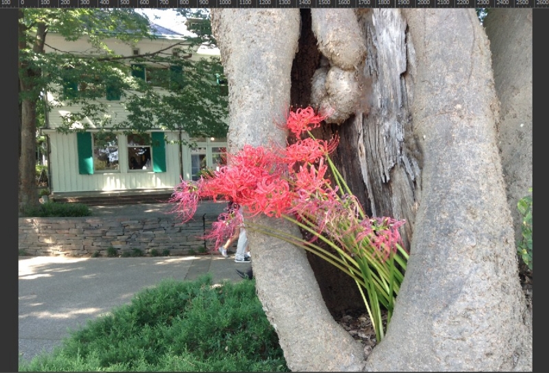 f:id:mio_U_M:20170219013047j:plain f:id:mio_U_M:20170219013047j:plain