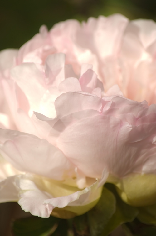 f:id:mioanju111:20151108120035j:plain