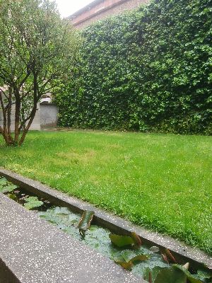f:id:miomiumoon:20200512155846j:plain f:id:miomiumoon:20200512155846j:plain