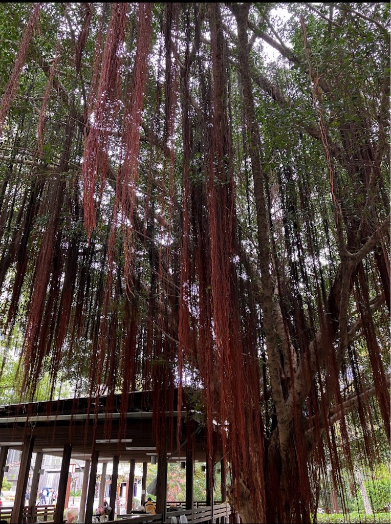 f:id:miomiumoon:20240321162824j:image f:id:miomiumoon:20240321162824j:image