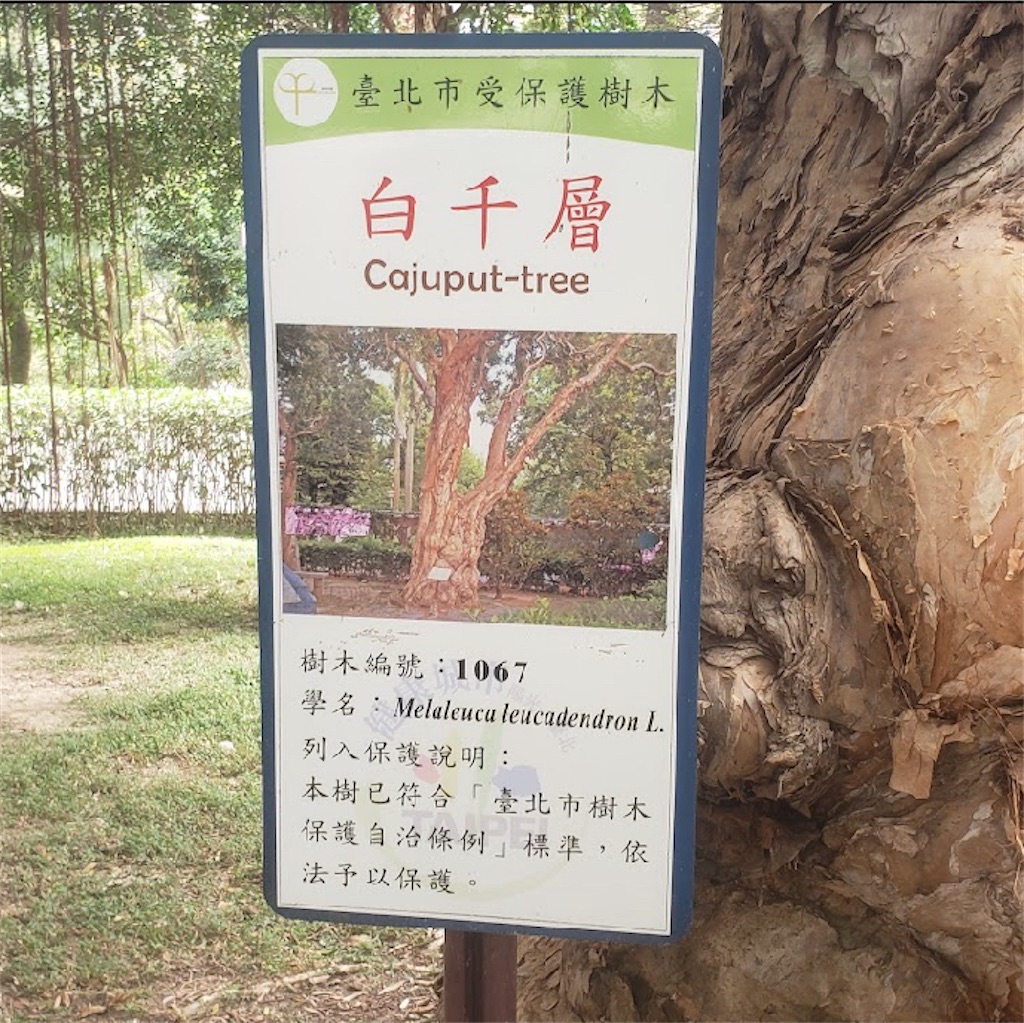 f:id:miomiumoon:20240321162828j:image f:id:miomiumoon:20240321162828j:image