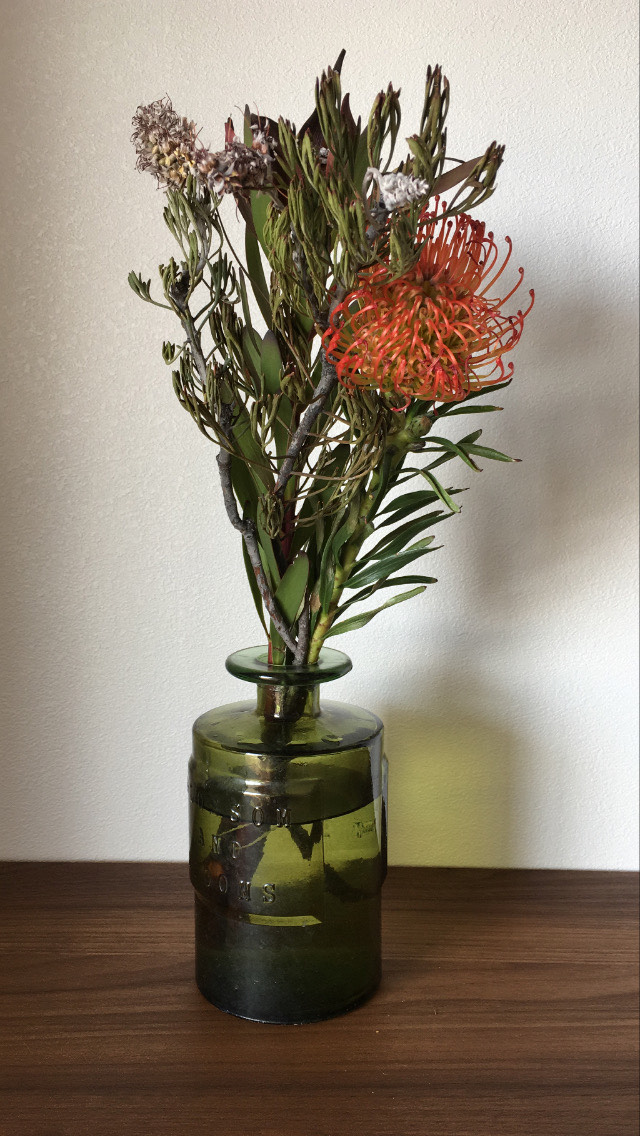 f:id:mion34:20210106000522j:plain