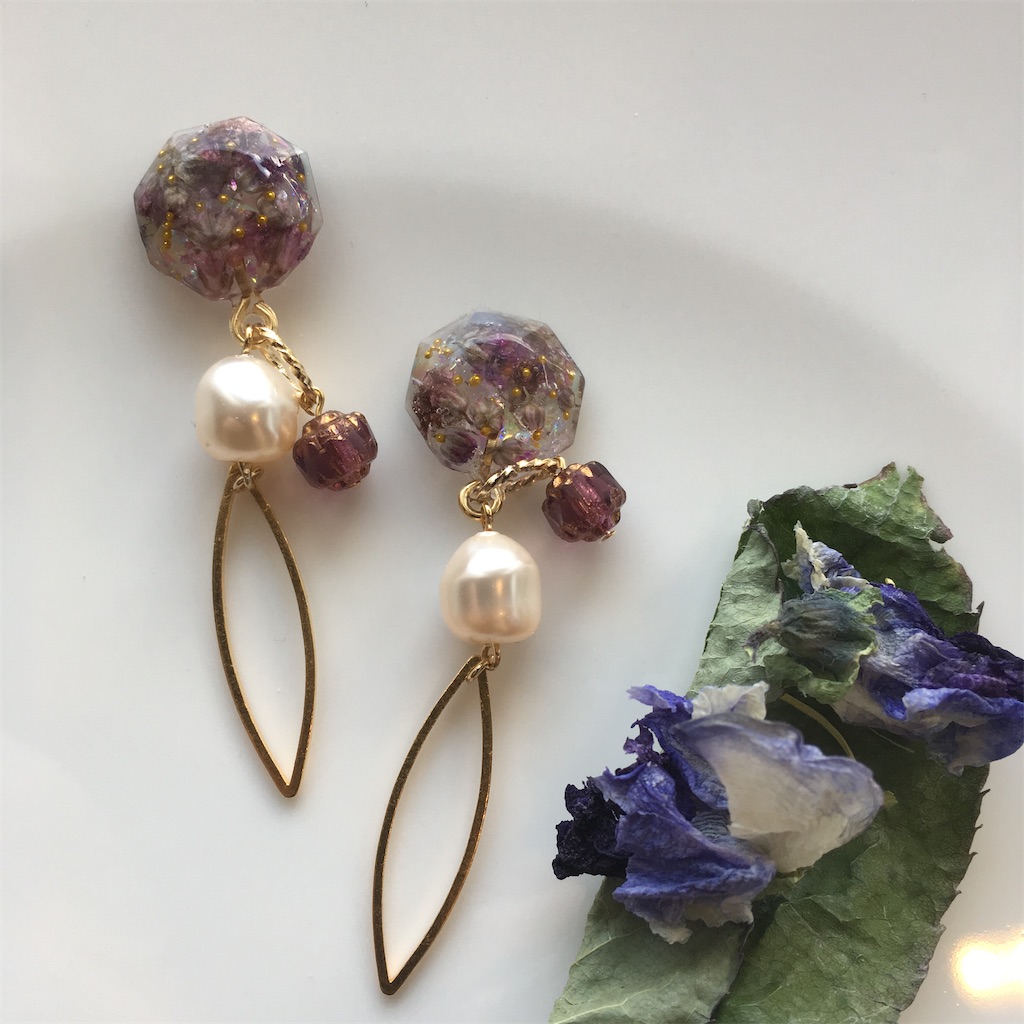 f:id:mion34:20210109201456j:image