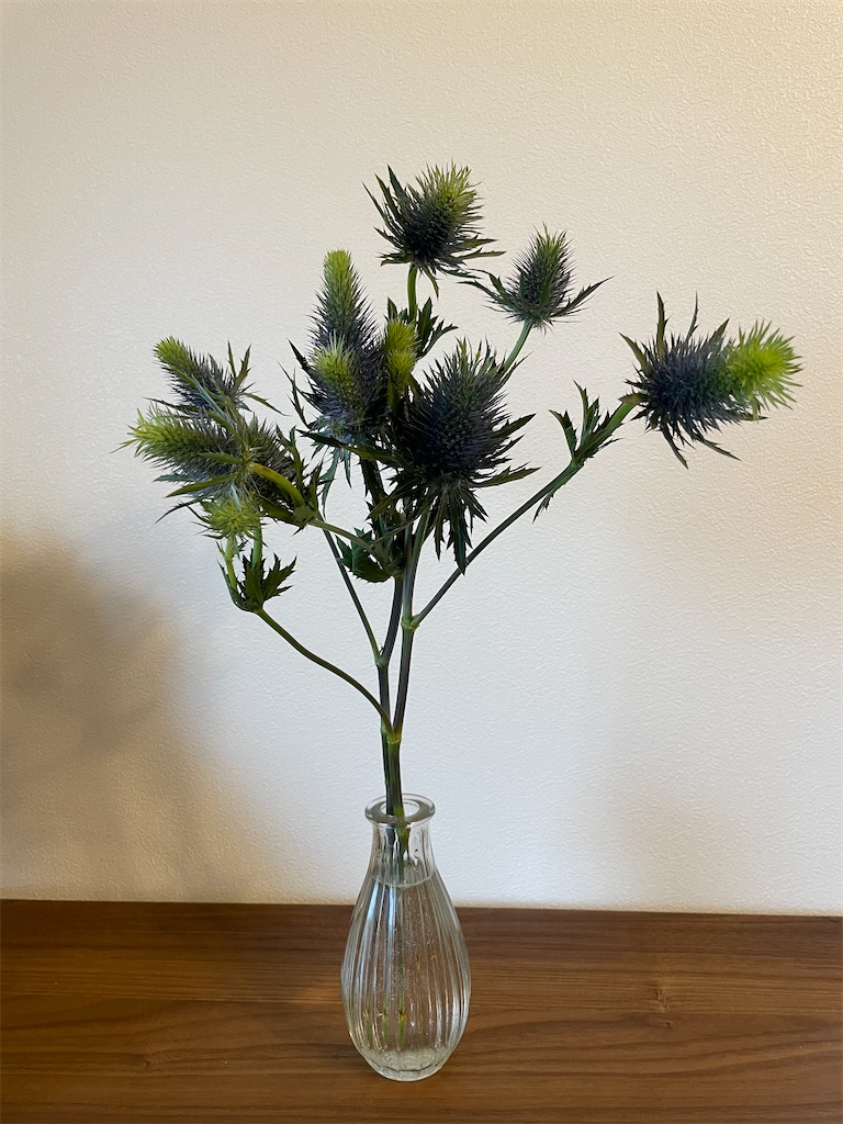 f:id:mion34:20210113112909j:plain