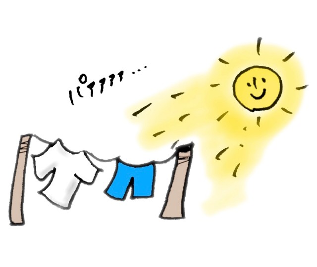 f:id:mionote:20220730025659j:image f:id:mionote:20220730025659j:image