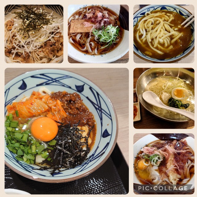 f:id:mionote:20230418181558j:image
