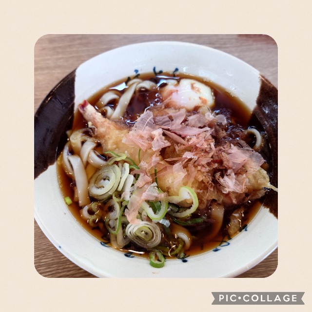 f:id:mionote:20230524082757j:image