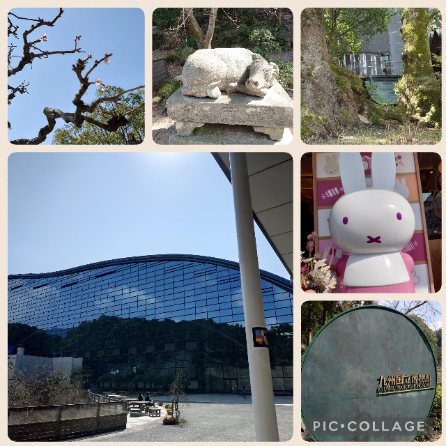 f:id:mionote:20240317202813j:image f:id:mionote:20240317202813j:image