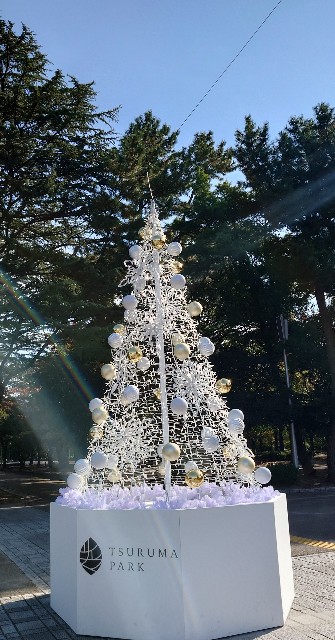 f:id:mionote:20241205223227j:image f:id:mionote:20241205223227j:image