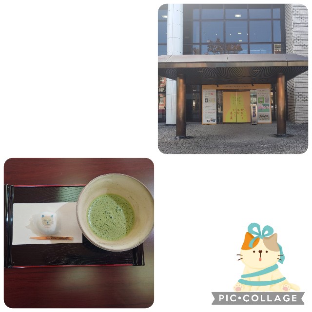 f:id:mionote:20251106210127j:image