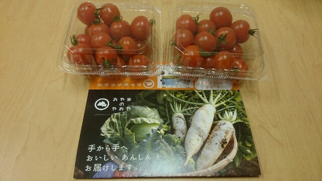 f:id:mionyamam:20170309114305j:image f:id:mionyamam:20170309114305j:image
