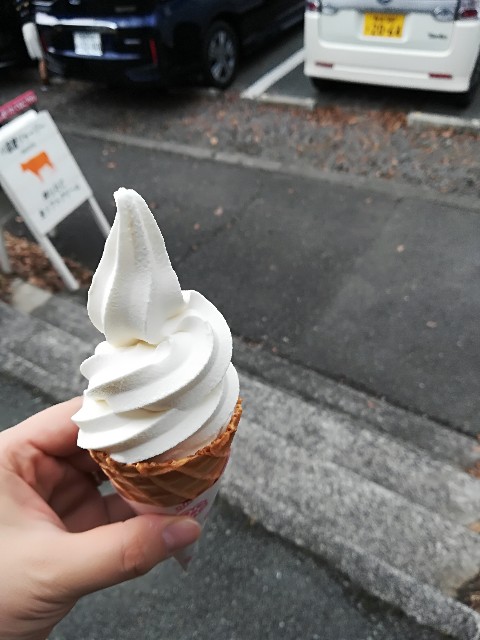 f:id:mionyamam:20171229132646j:image