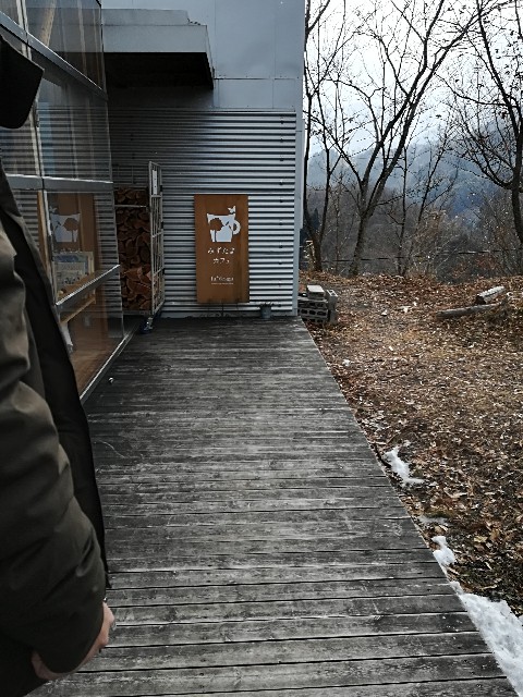 f:id:mionyamam:20180211142957j:image f:id:mionyamam:20180211142957j:image
