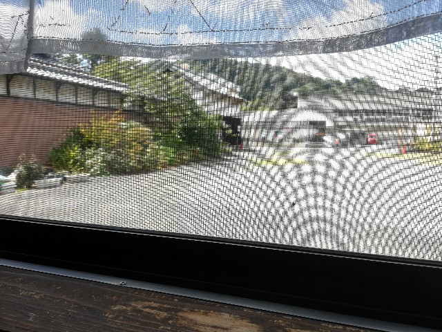 f:id:mionyamam:20180812184145j:image f:id:mionyamam:20180812184145j:image